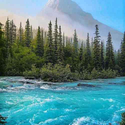 شهریار کریمی خدا دل پیر و جوونه ایشینن تی چالی یک